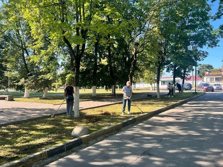23 августа и 6 сентября в Брянске запланированы общегородские субботники