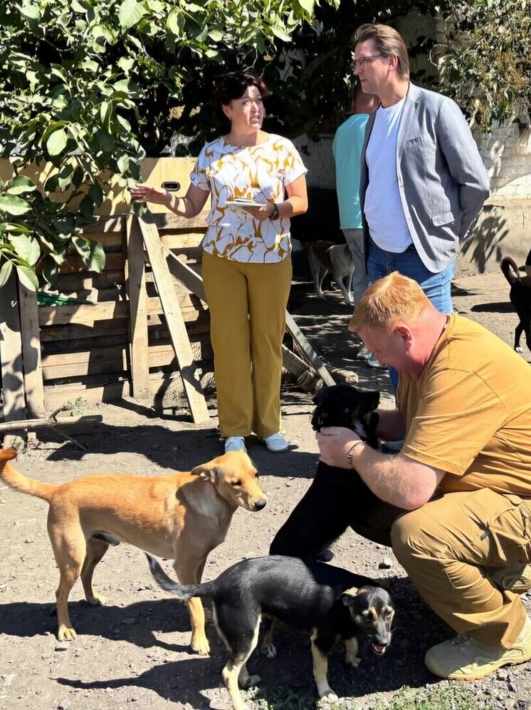 Министерство сельского хозяйства ЛНР откроет современный приют для животных с учетом российских стандартов