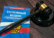 Московский областной суд вынес приговор известному ученому, одному из разработчиков космического корабля «Буран» Александру Кибальченко