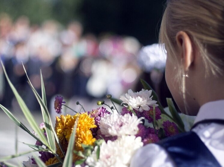 Школы Марий Эл 1 сентября примут 85 245 учеников