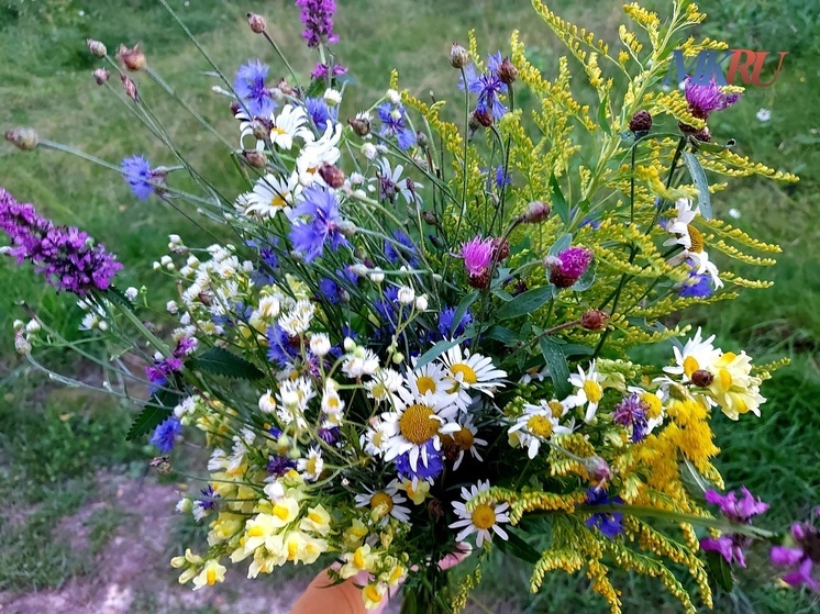 Синоптики обещают калужанам неплохую субботу