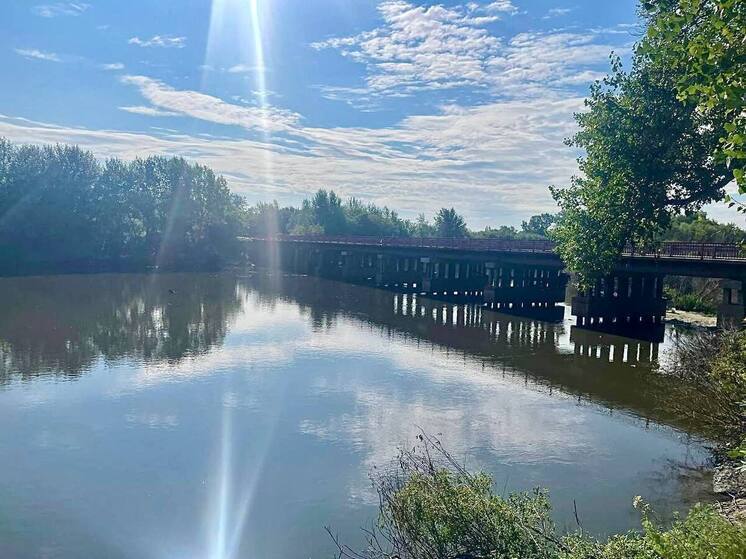 Труп мужчины плавал в реке Тобол в Кургане