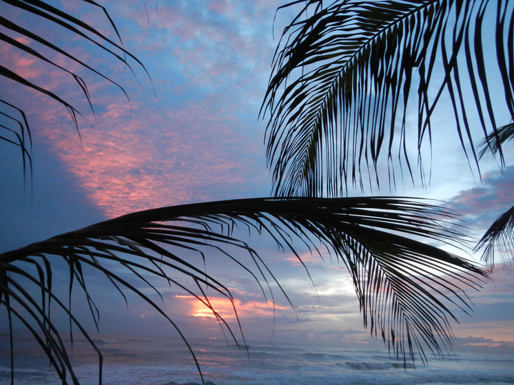 Путин направил соболезнования руководству Пакистана в связи с последствиями наводнения