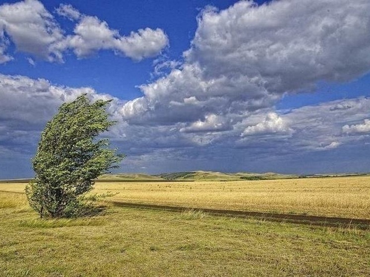 Народные приметы на 16 августа 2025 года: что нельзя делать в день Антона Вихровея