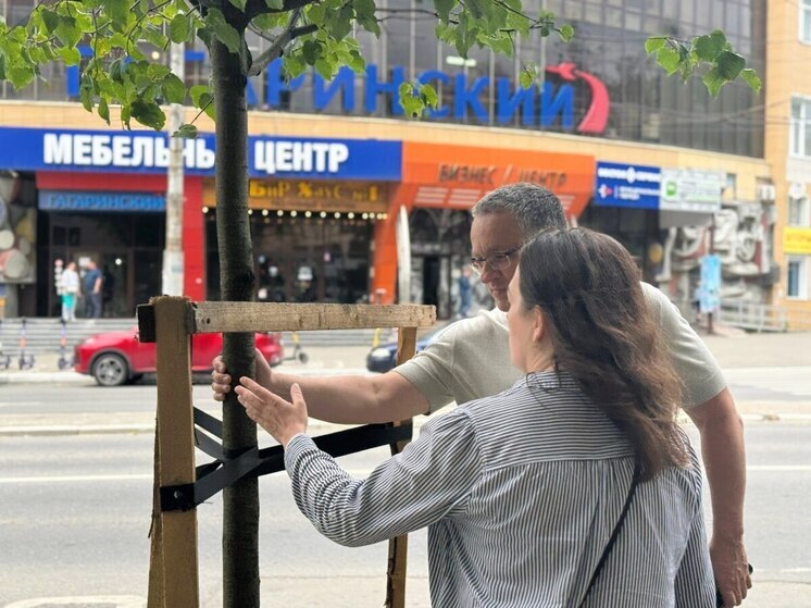 В Калугу завезут крупные деревья