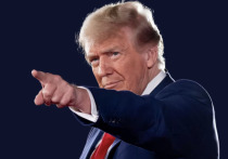 Президент США Дональд Трамп после переговоров с президентом России Владимиром Путиным не стал звонить лидеру киевского режима Владимиру Зеленскому, пишет корреспондент Financial Times на Украине Кристофер Миллер