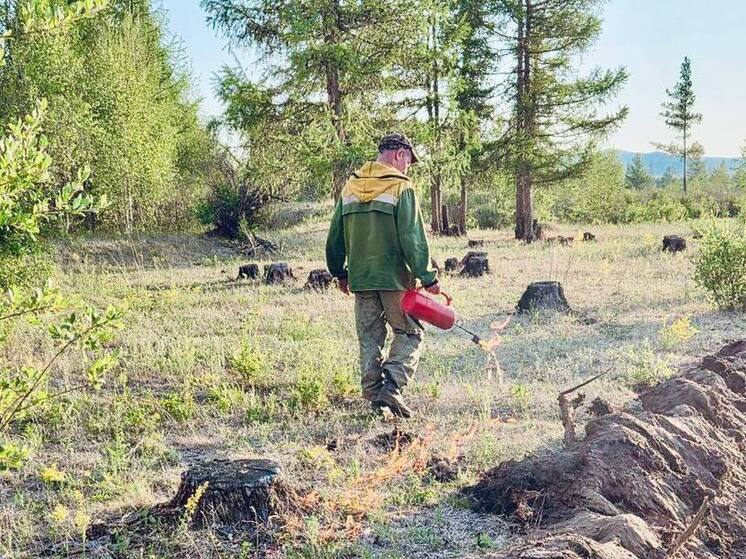 В Бурятии тушат три лесных пожара