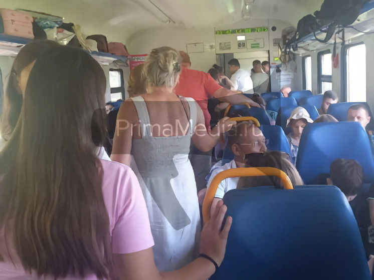 Прокуратура разберется с перевозчиком, ответственным за остановку электрички «Ружино – Владивосток»