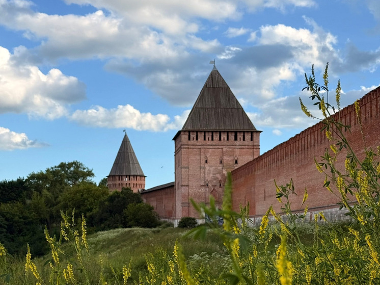 В Смоленской области 16 августа ожидается дождь