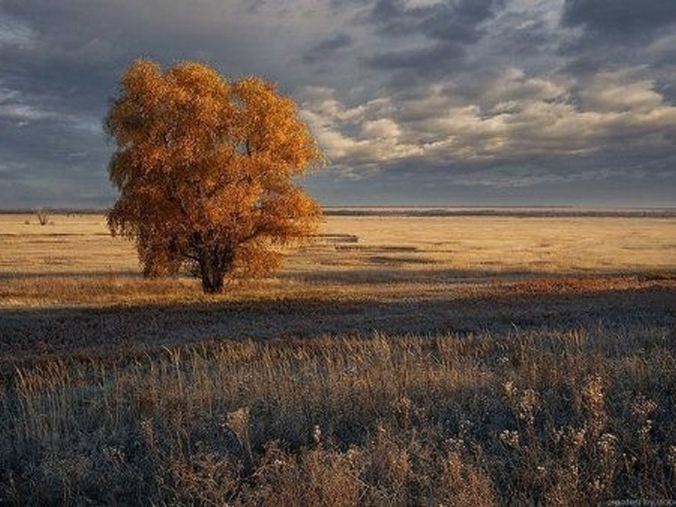 Завтра погода в Калмыкии спрогнозирует ноябрь