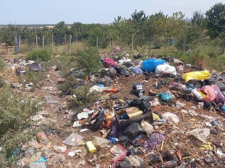 В Махачкале и селе Геджух выявили уничтожение зеленой зоны и несанкционированную свалку
