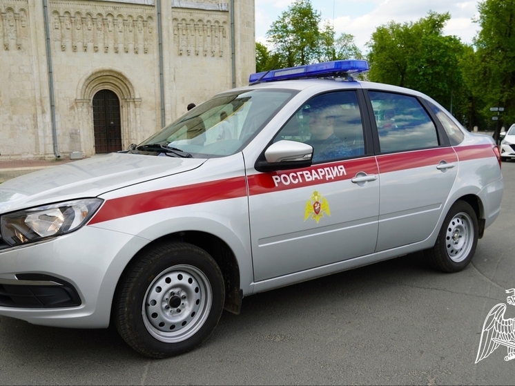 Владимирские росгвардейцы за месяц задержали почти 200 нарушителей