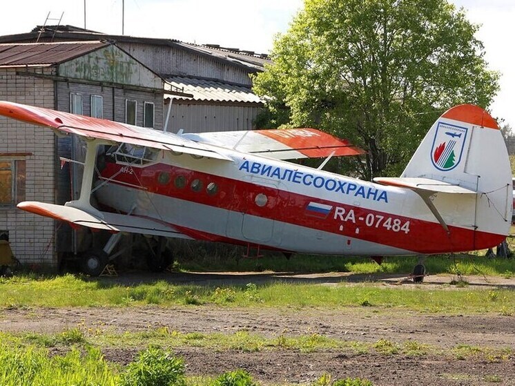 В Карелии вновь вспыхнули лесные пожары