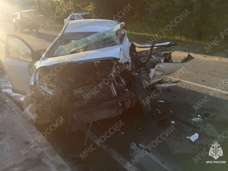 Под Брянском спасатели достали из машины пострадавшего в ДТП