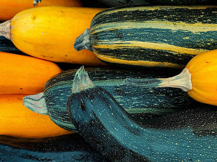 Псковичам рассказали, как можно и нельзя хранить кабачки