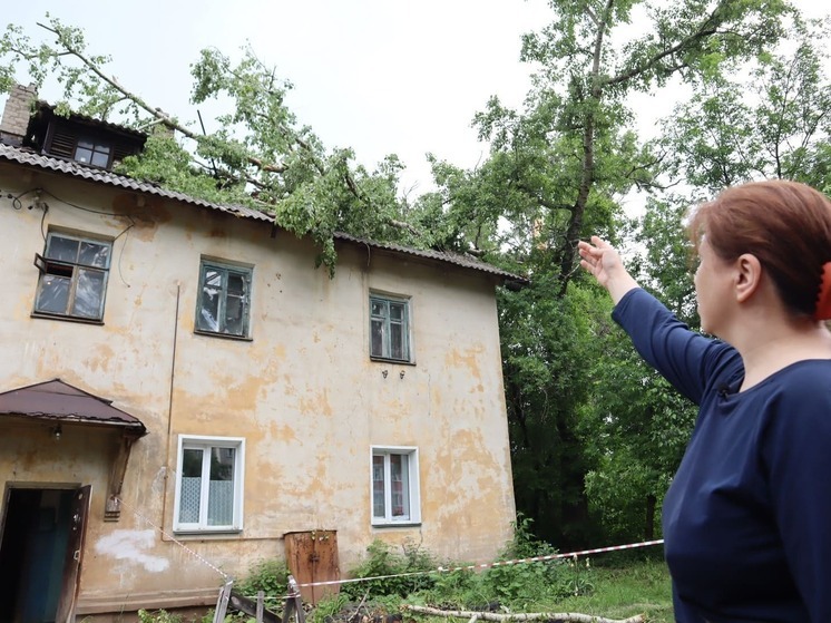 Кировчане могут замерзнуть из-за бездействия УК после падения тополя