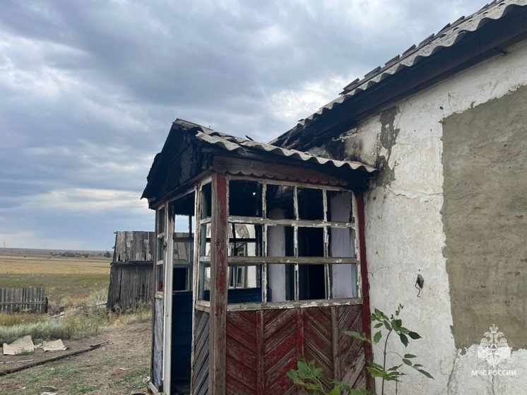 В Красносулинском районе соседские псы предотвратили крупный пожар