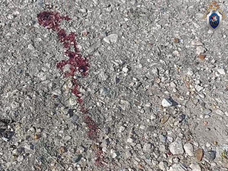 В Росве найдено тело мужчины