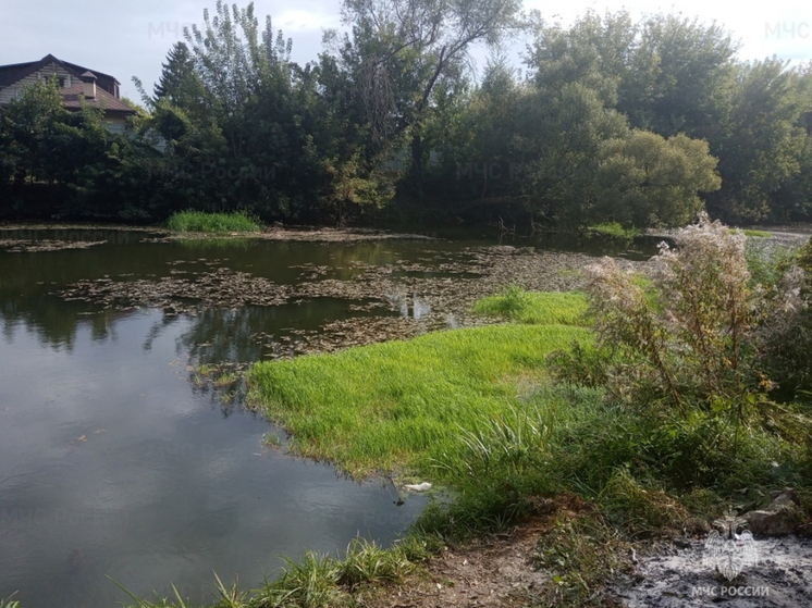 В Орле спасли человека из воды в Бетонном переулке