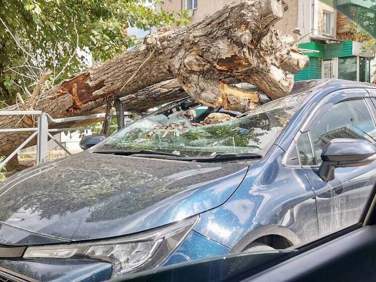 Гнилой тополь упал на машину в Новосибирске