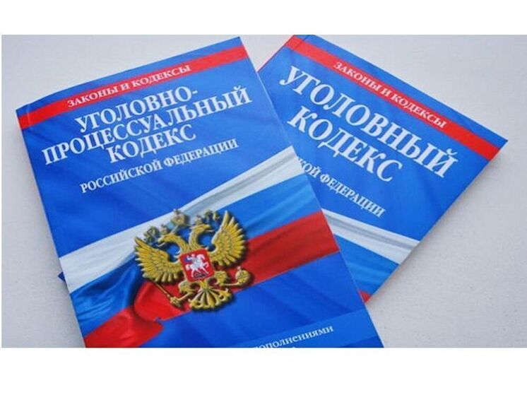 Вяземские сыщики раскрыли кражу с территории дачного участка