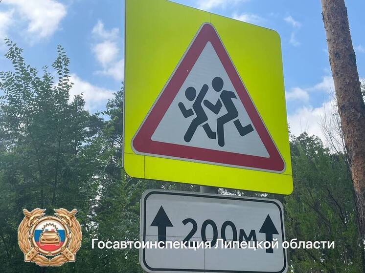 Липецкая ГИБДД нашла нарушения на всех школьных маршрутах области