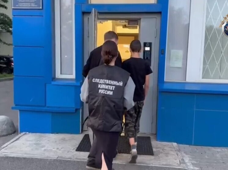 Одному из напавших на «Ленина» подростков в Петербурге предъявлено обвинение