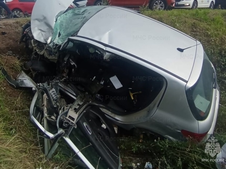 На сельской трассе под Волковским столкнулись Peugeot и Volkswagen