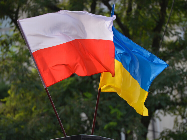 Глава МИД Польши Сикорский: ЕС поддержит решение Киева о продолжении конфликта