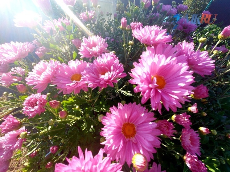 В Калуге ожидаются осадки