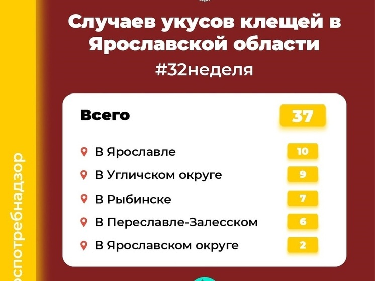 В Ярославской области клещи стали реже кусаться