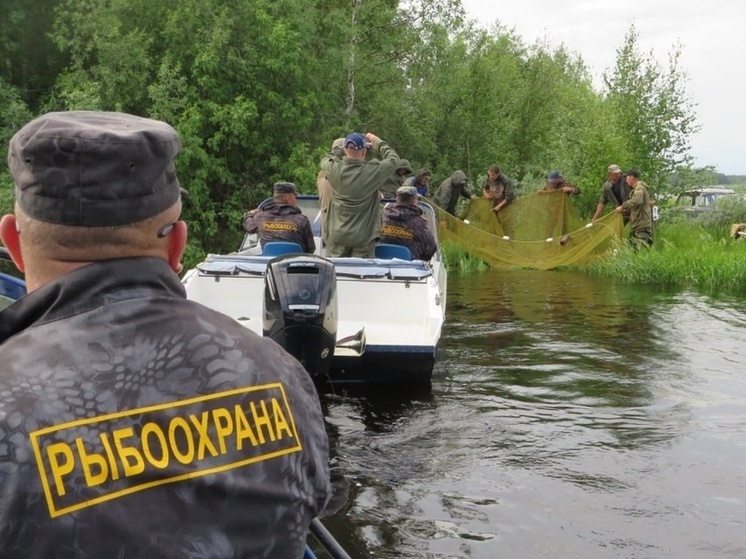В Югре ввели ограничения на рыболовство из-за обмеления рек