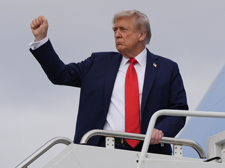 Сообщается, что Трамп поддержит передачу Украиной территории России в рамках мирного соглашения