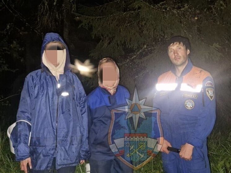 Спасатели до ночи искали двух заблудившихся женщин в Киришском районе