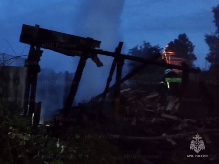 В Ульянове огонь оставил пепелище от хозпостройки