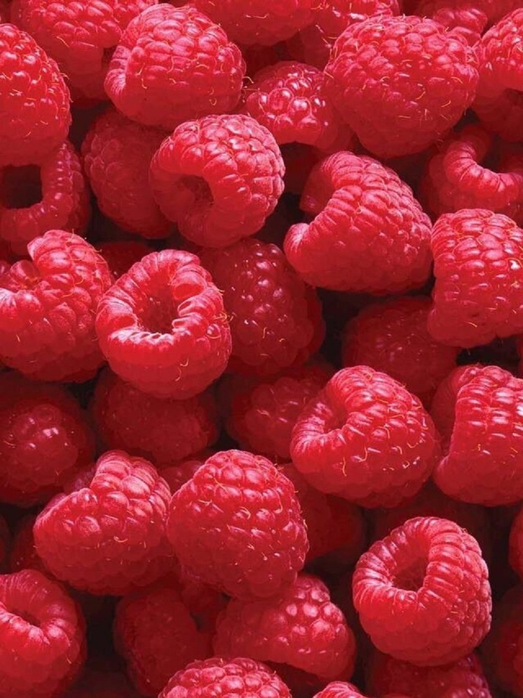 Что можно и нельзя делать 17 августа 2025 года: приметы и запреты в день Авдотьи Малиновки