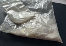 В Кировске суд вынес приговор по делу о незаконном приобретении и хранении наркотиков