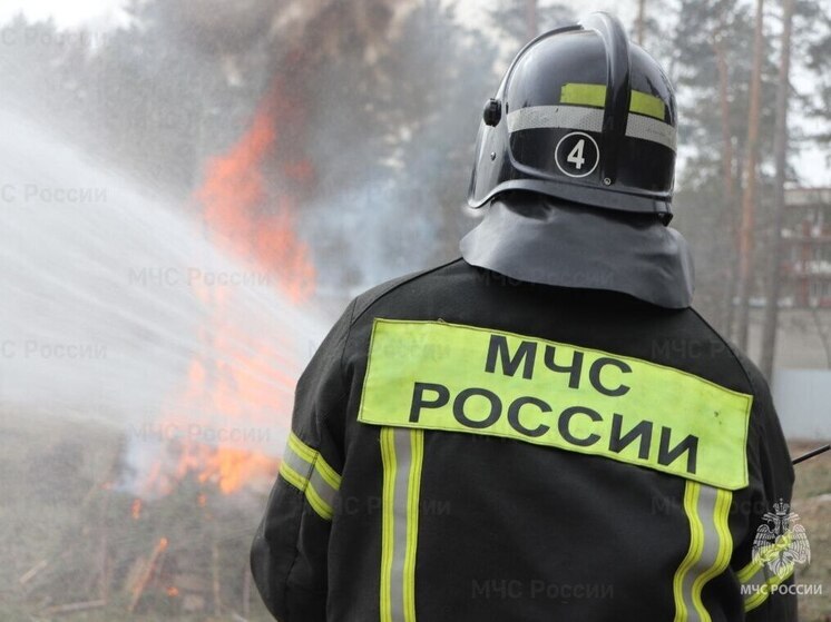 В Тамбовской области за минувшие стуки пожаров не было