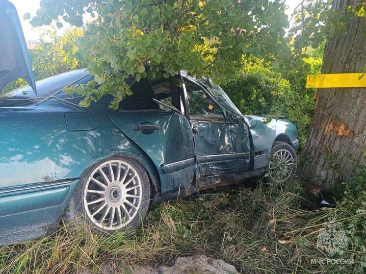 Калининградские спасатели отреагировали на ДТП в Багратионовском муниципалитете