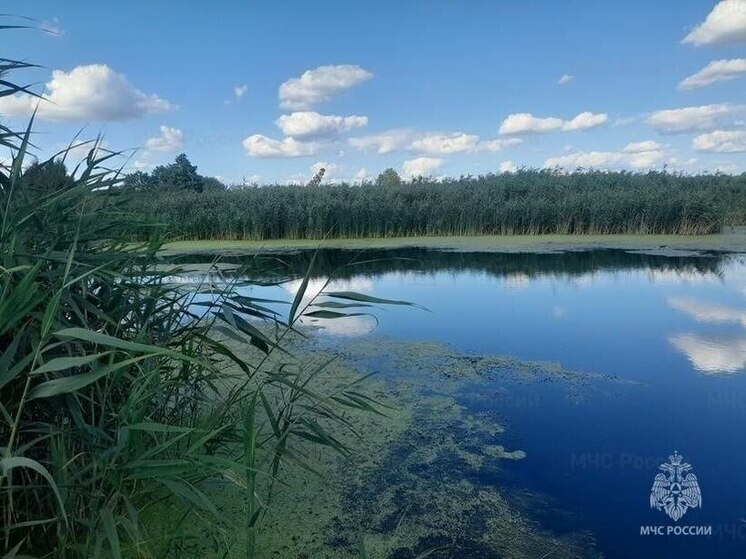 Тело мужчины вытащили из водоема в Белгородском районе