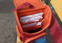 Приближение осени для многих родителей означает не только завершение сезона отпусков, но и начало активной подготовки к новому учебному году. Особенно волнительным и затратным этот период становится для семей, чьи дети впервые идут в школу. Собрать первоклассника — задача не из легких, требующая значительных финансовых вложений. Разберемся, во сколько обойдется базовый школьный набор в 2025 году и как можно сэкономить.
