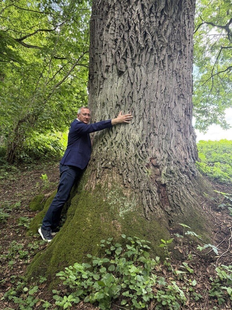 Калужский губернатор обнял зелёного исполина