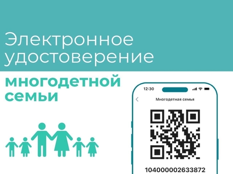 В Липецкой области появились электронные удостоверения многодетной семьи