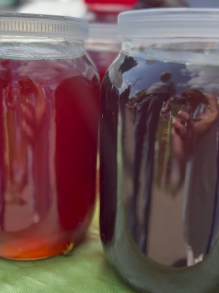 В Людинове побаловались медком