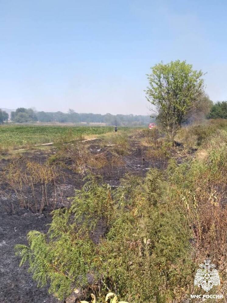 Огнеборцы Осетии потушили пожар на окраине селения Брут