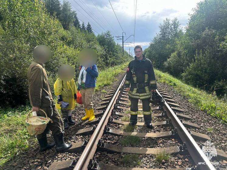 Около конаковской ГРЭС нашли заблудившихся грибников