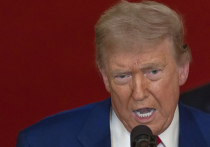 В преддверии решающей встречи с Владимиром Зеленским президент США Дональд Трамп сделал еще один недвусмысленный шаг, публично обозначив свою позицию по мирному урегулированию