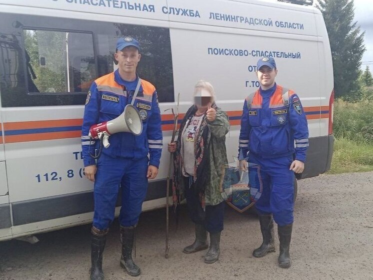 Спасатели искали пожилую женщину, заблудившуюся в лесу в Тосненском районе