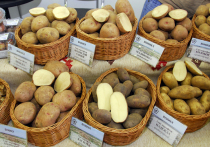 По данным Росстата, на плодоовощную продукцию уже четыре недели подряд наблюдается дефляция, в частности, всеми любимая картошка  подешевела на 21%