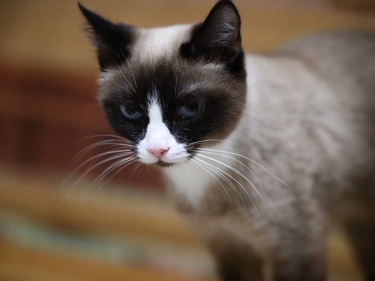 Волгоградцам назвали способы профилактики аллергии у детей